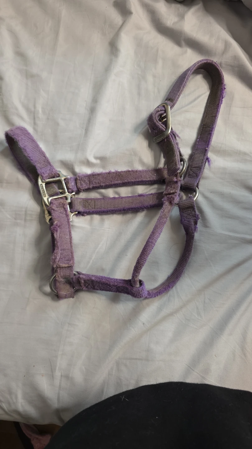 Horse Halter and Lead rope