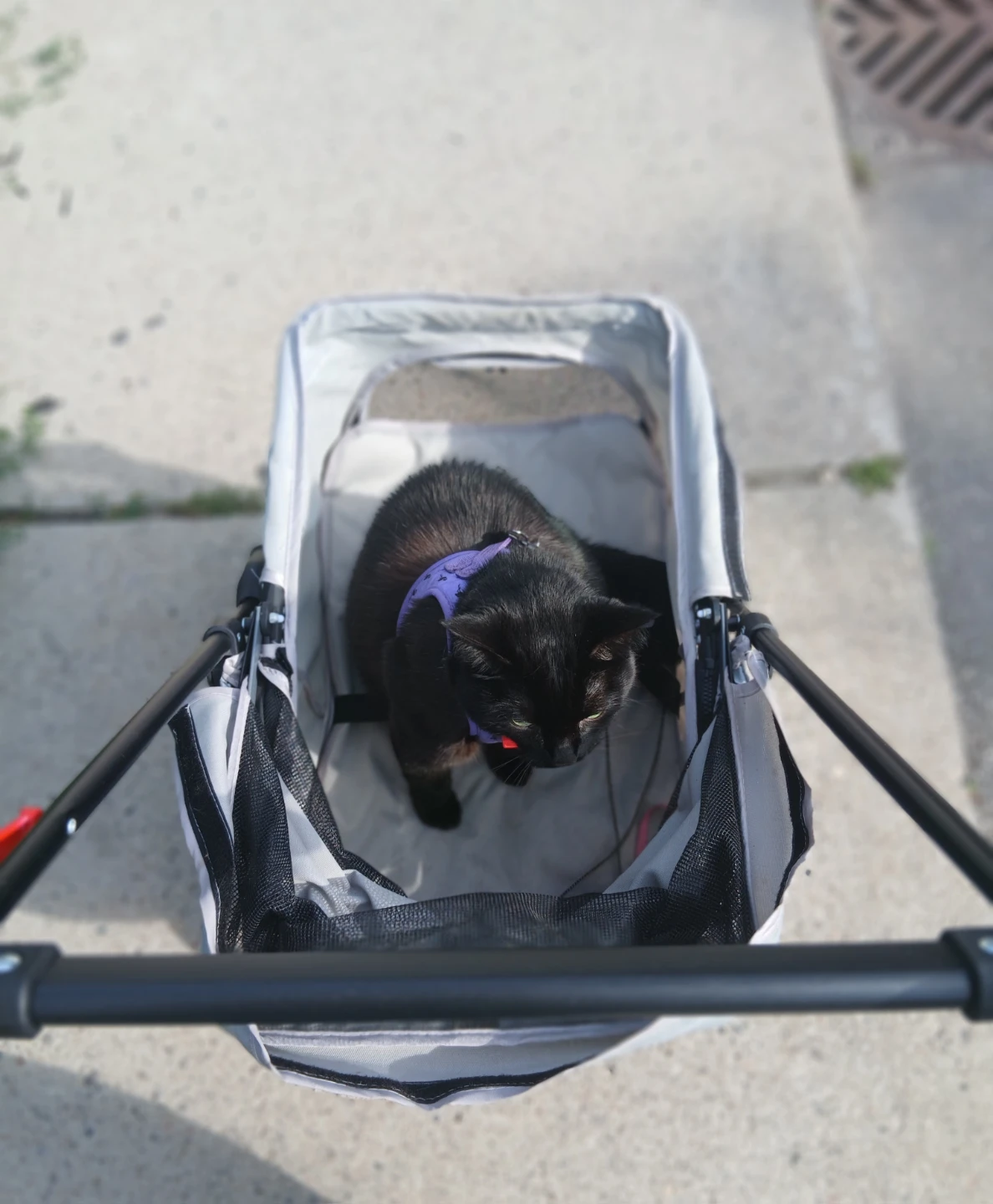 Lightweight Pet Stroller - photo 4