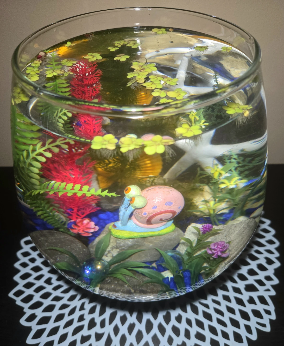 Glass-Shaped 2 Gal Aquarium - photo 3