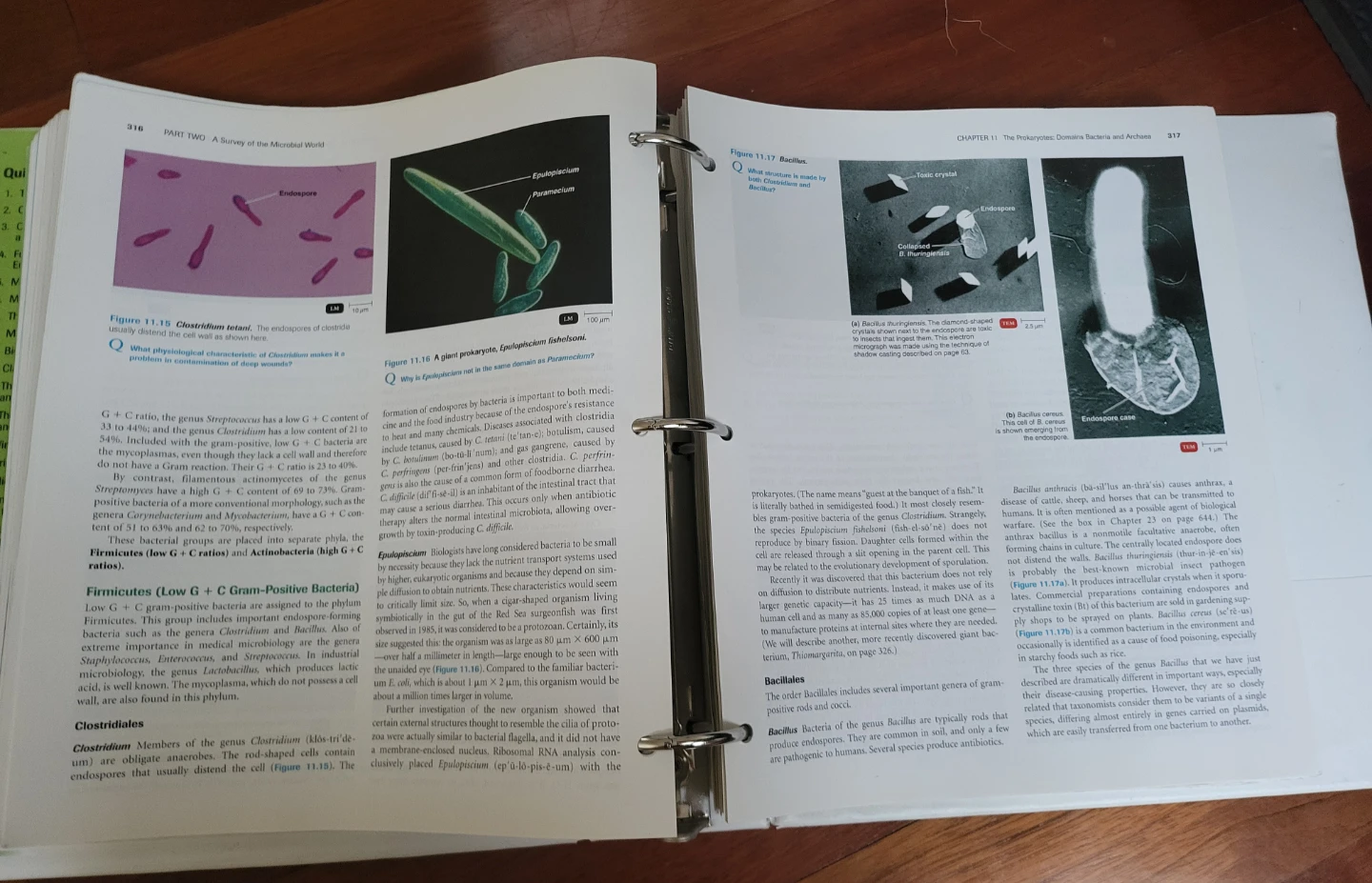 Microbiology: An Introduction, 10th Edition Textbook - photo 5