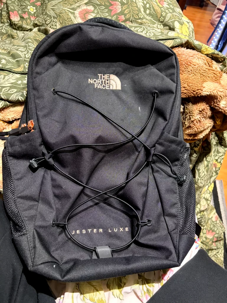 The North Face Borealis Backpack