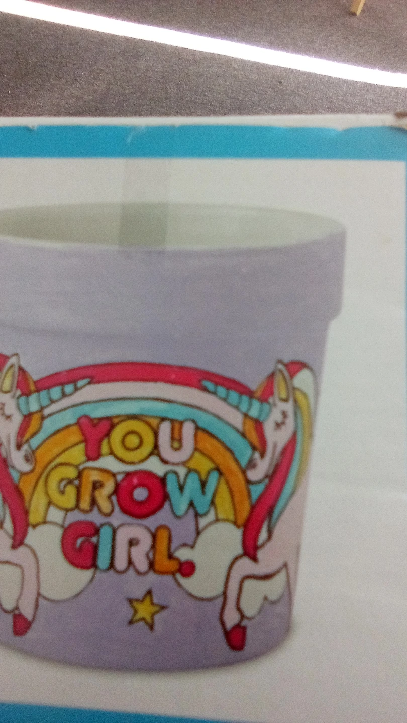 Creatology Color-In Flower Pot Kit - photo 3