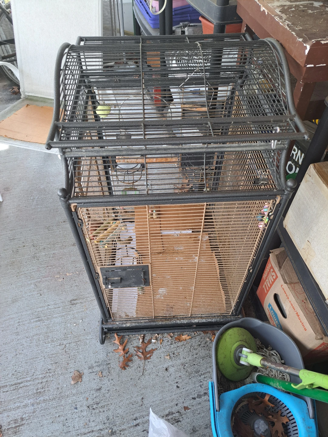 Large Bird Cage - photo 3