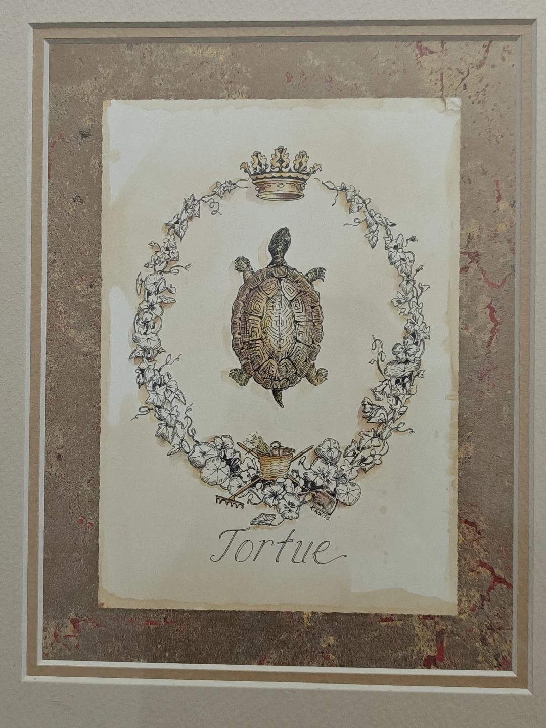 Pair of Framed K. White Framed Art Prints - Tortue and Libellule - photo 3