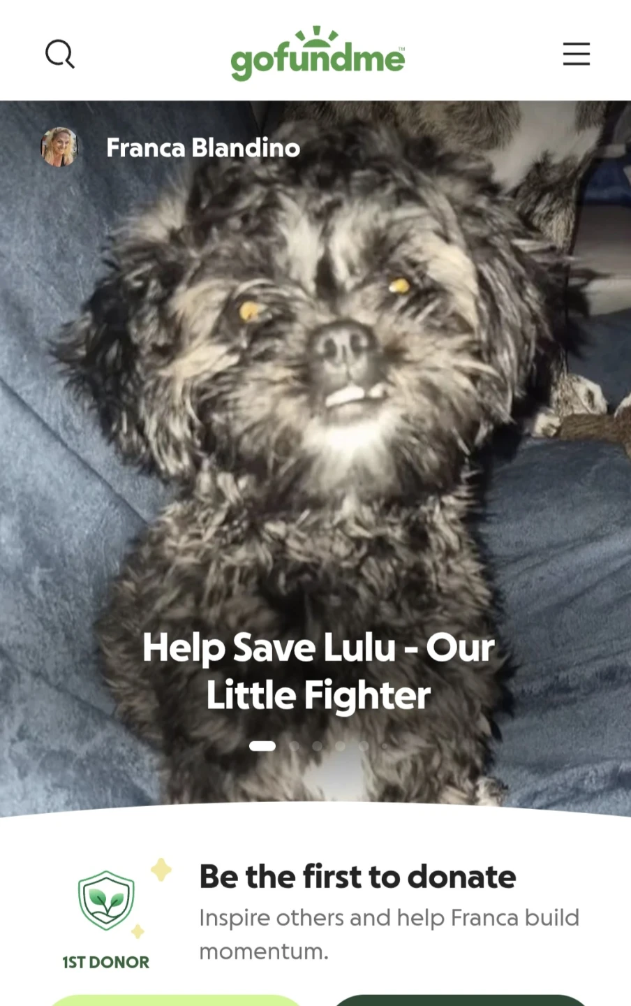 https://gofund.me/95bc94b55