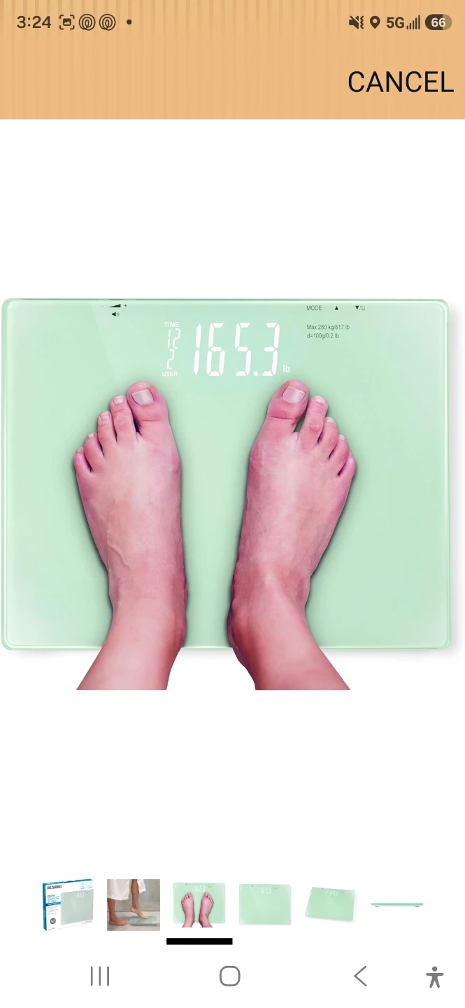 Ideaworks Deluxe Talking Scale - photo 4