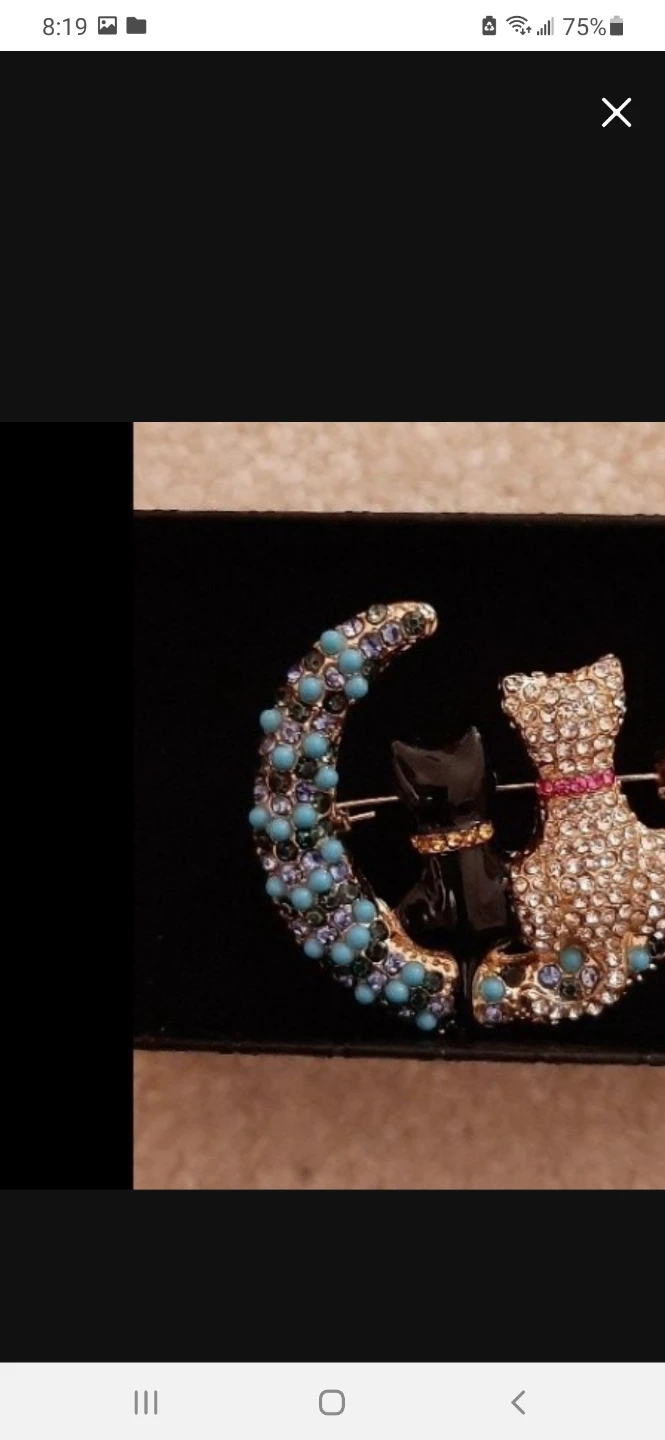 Brooch with two Cats on a  Moon. - photo 4