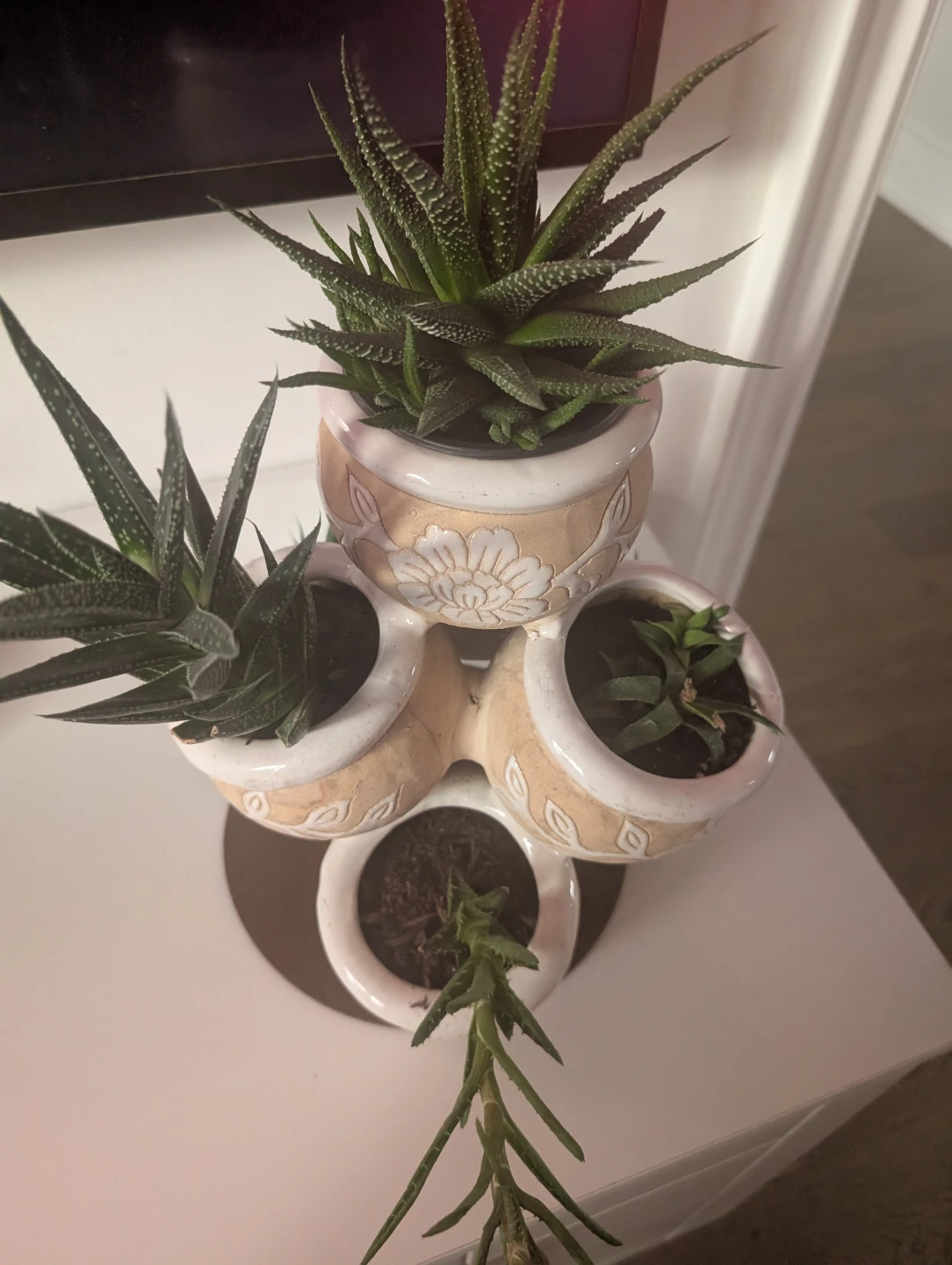 Unique 7 in1 pot with plants