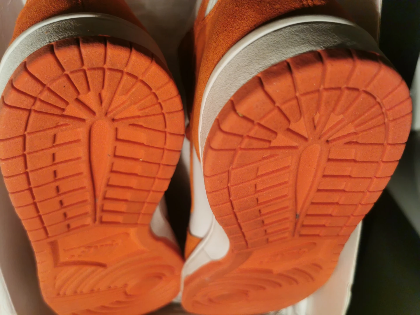 Nike Dunk SB Syracuse 13 - photo 3