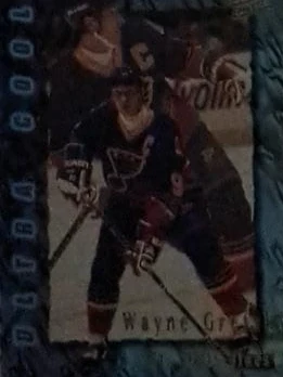 Binder with hockey cards (340+) - photo 3