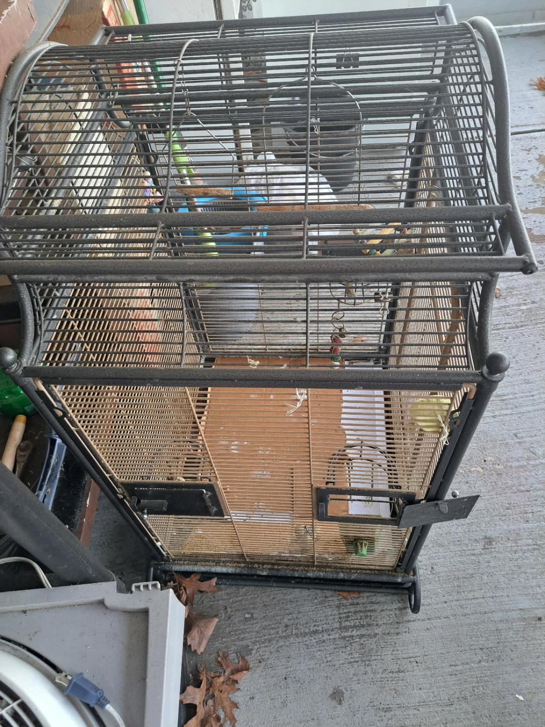 Large Bird Cage