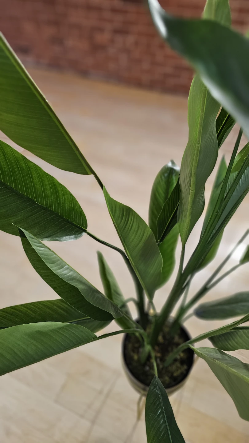 Artificial Bird of Paradise Plant with Metal Stand - photo 2