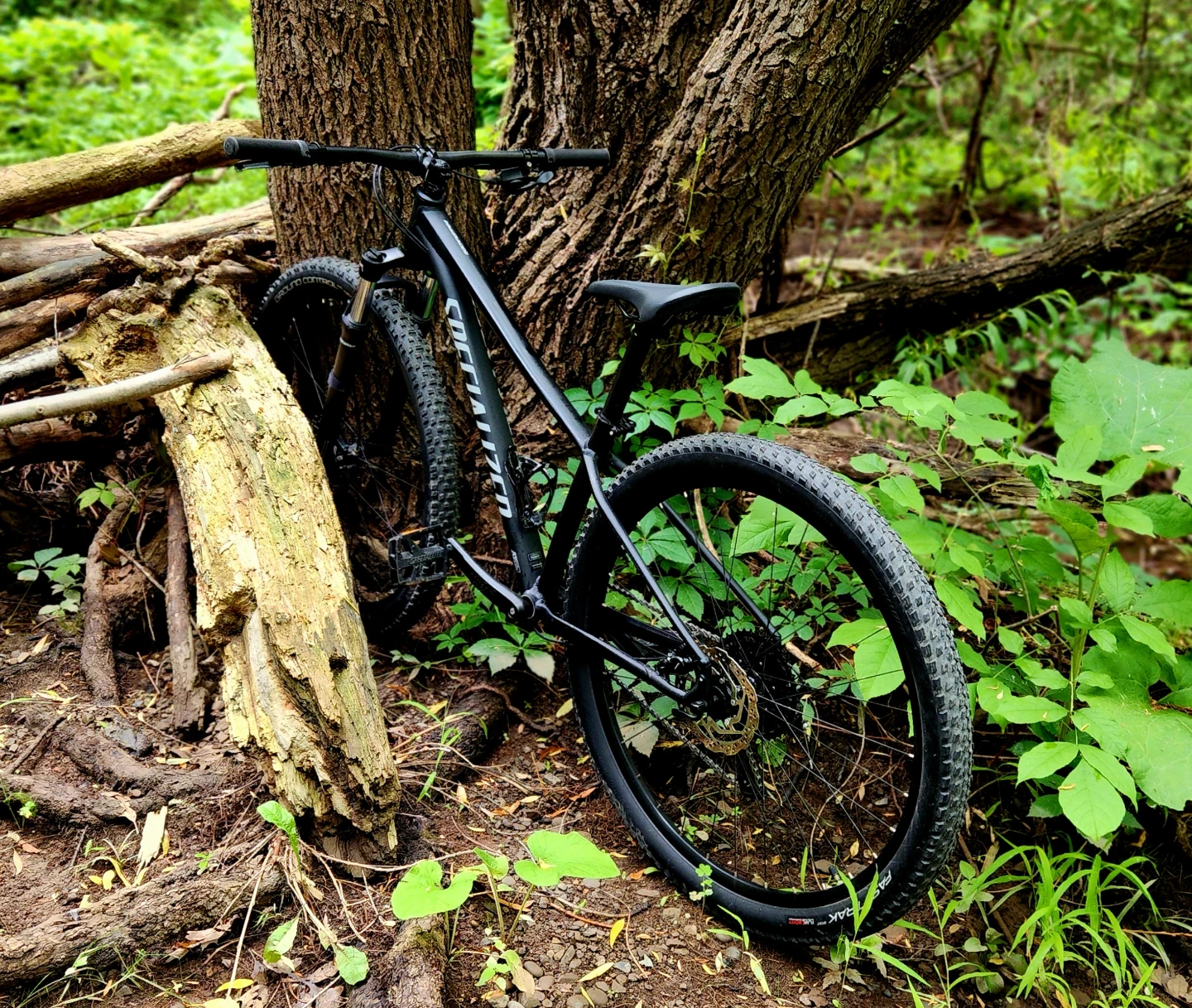 Specialized MTB 29 _  X small - photo 4