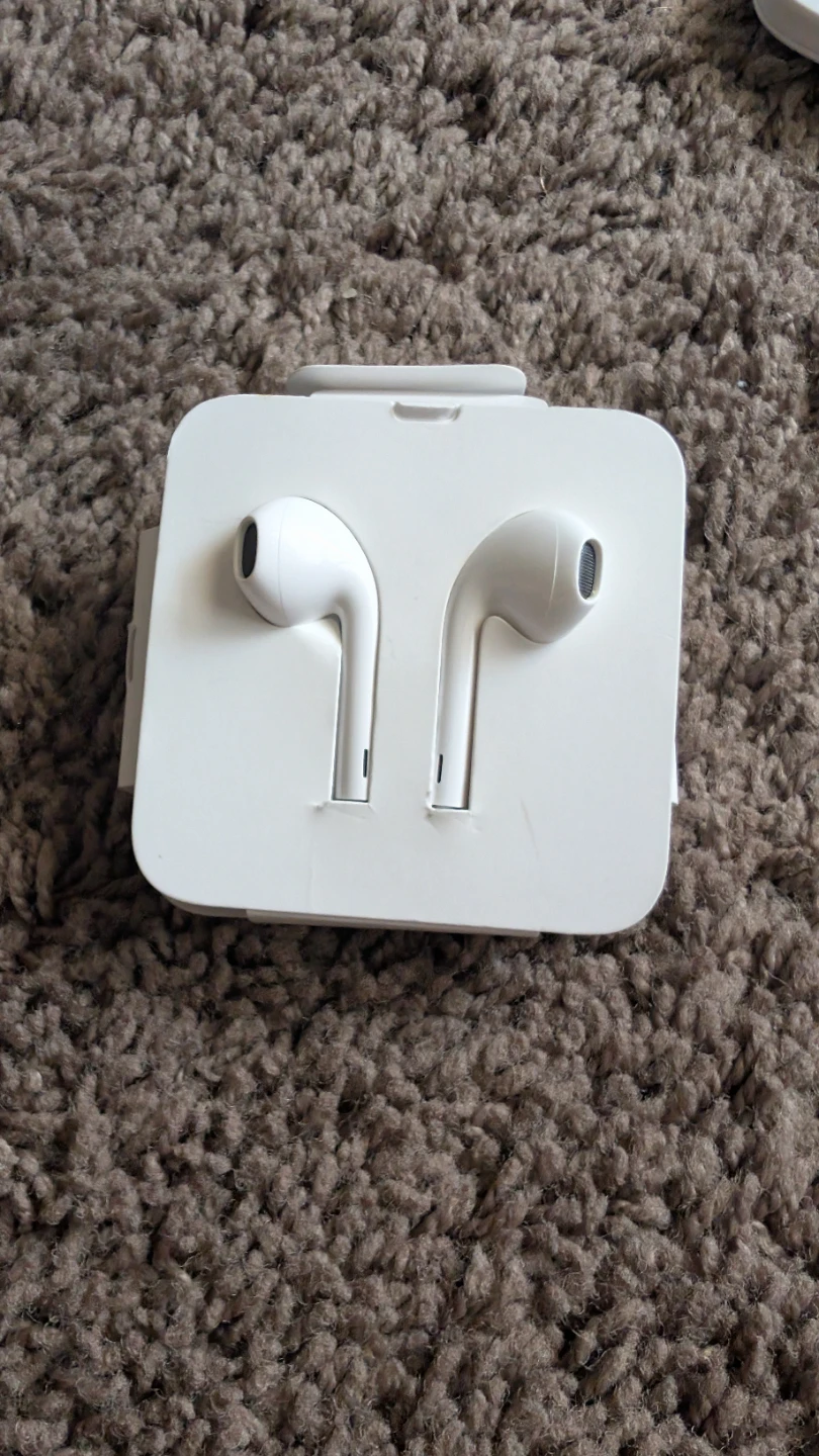 Old Apple EarPods
