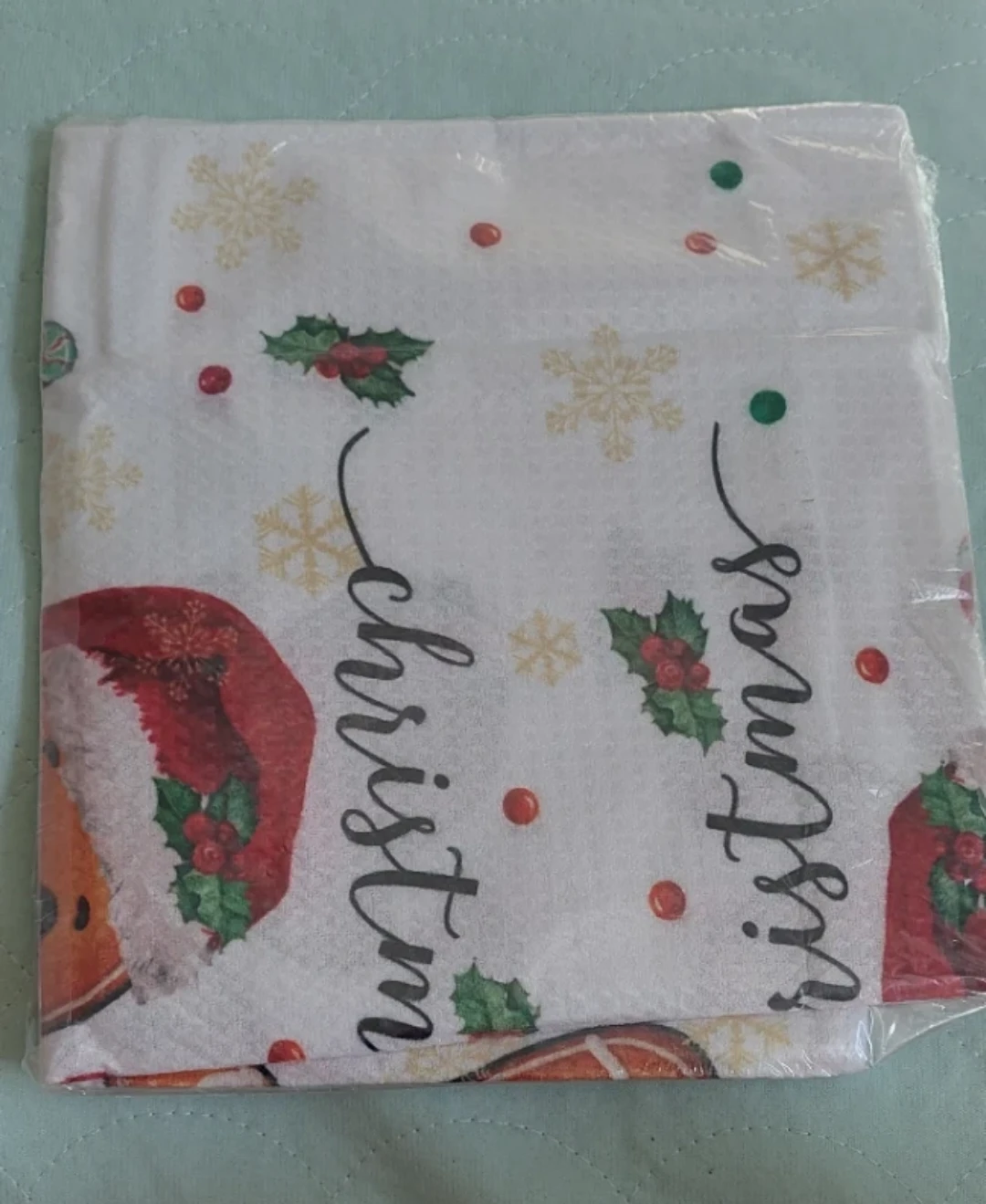 Christmas Themed Placemats Set of 2
