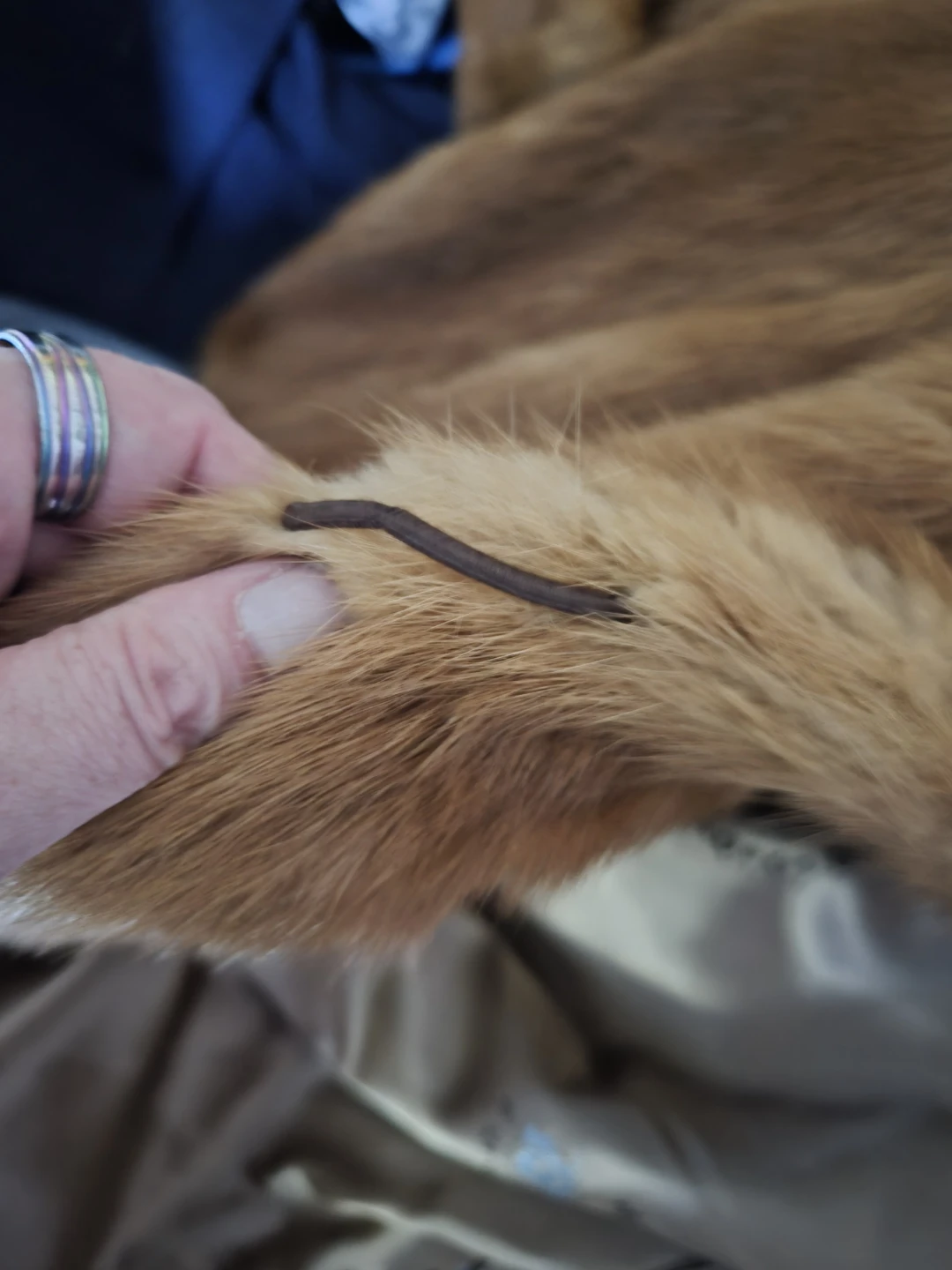 Vintage Women's Mink Fur Coat - photo 4
