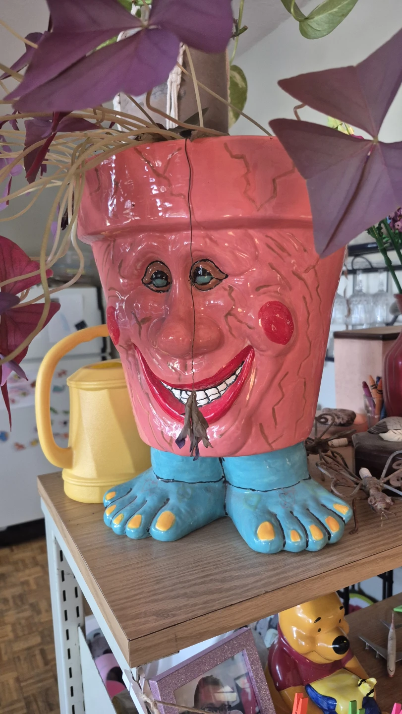 Set of 3 Whimsical Character Planters with Feet