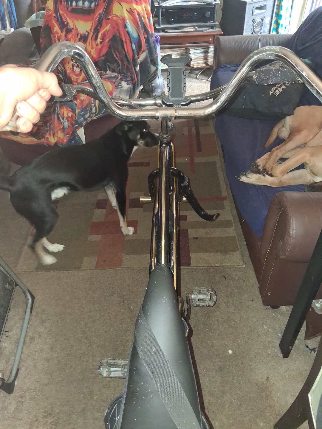 Chrome Bicycle Handlebars