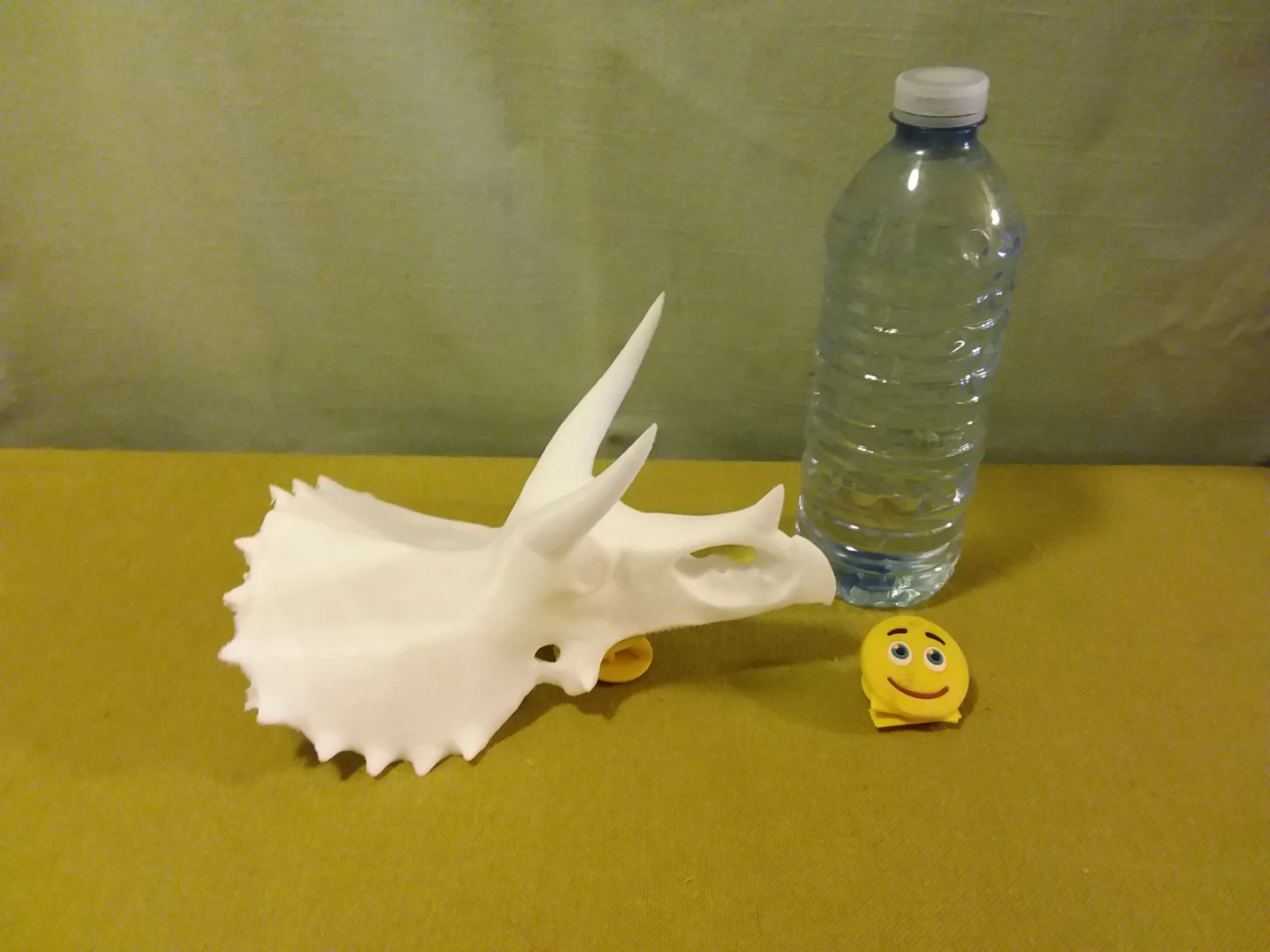 🏈  🦕 ➡️ 3D Printed Triceratops Skull Model  🦕 - photo 2
