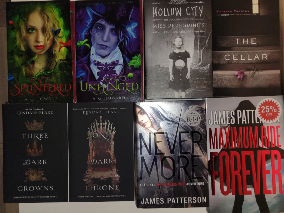 Assortment of Books (YA, Romantasy, Stephen King) - photo 4