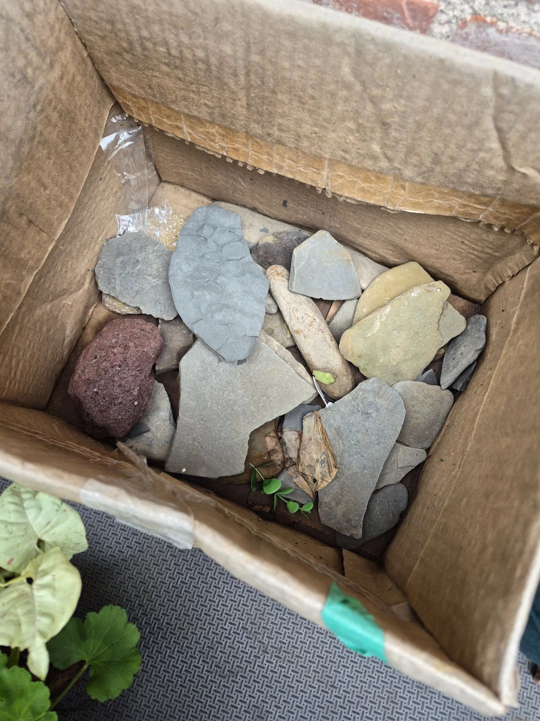 10 gallon aquarium with lots of rocks and decoration - photo 2