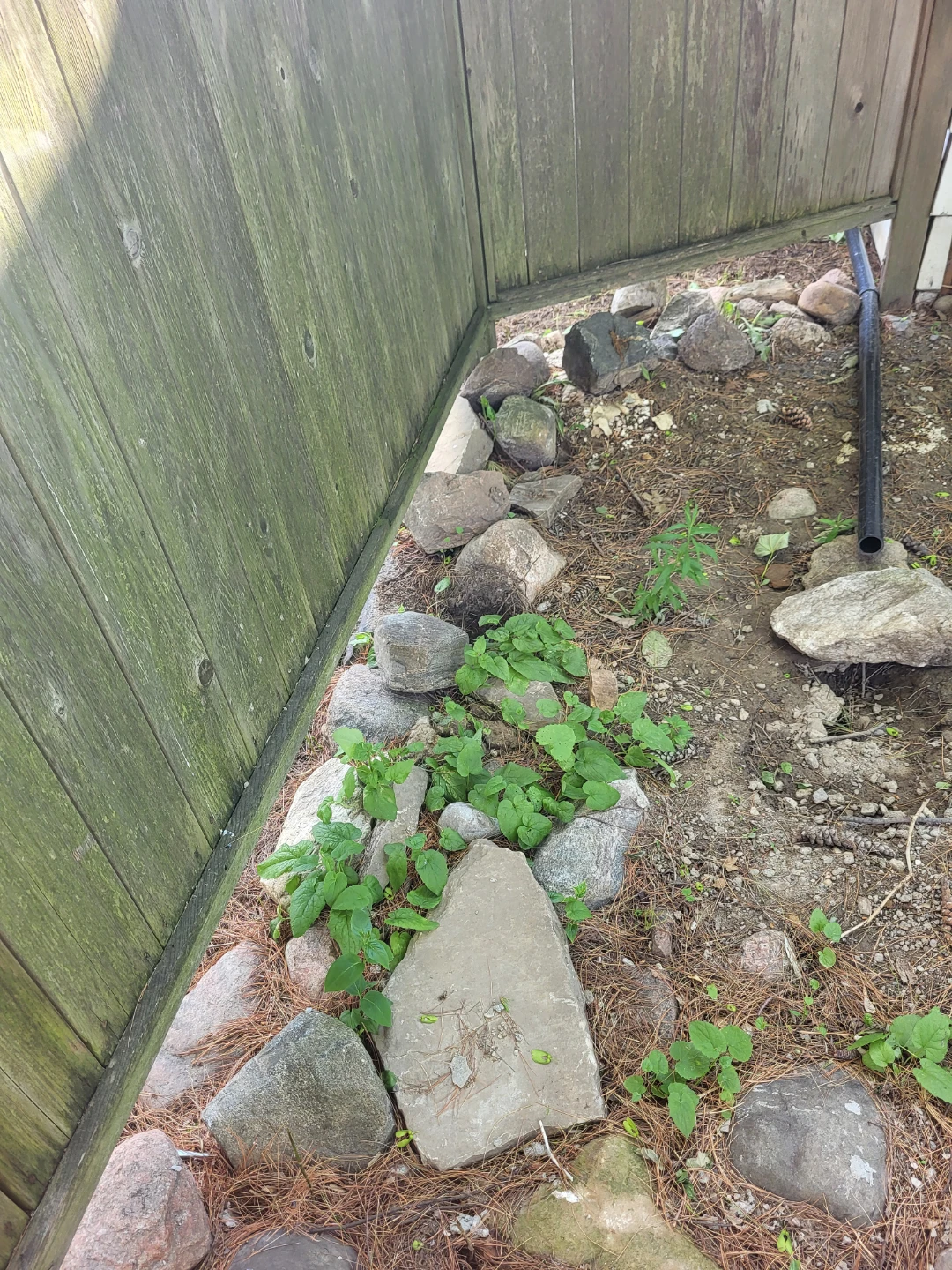Assorted Garden Rocks