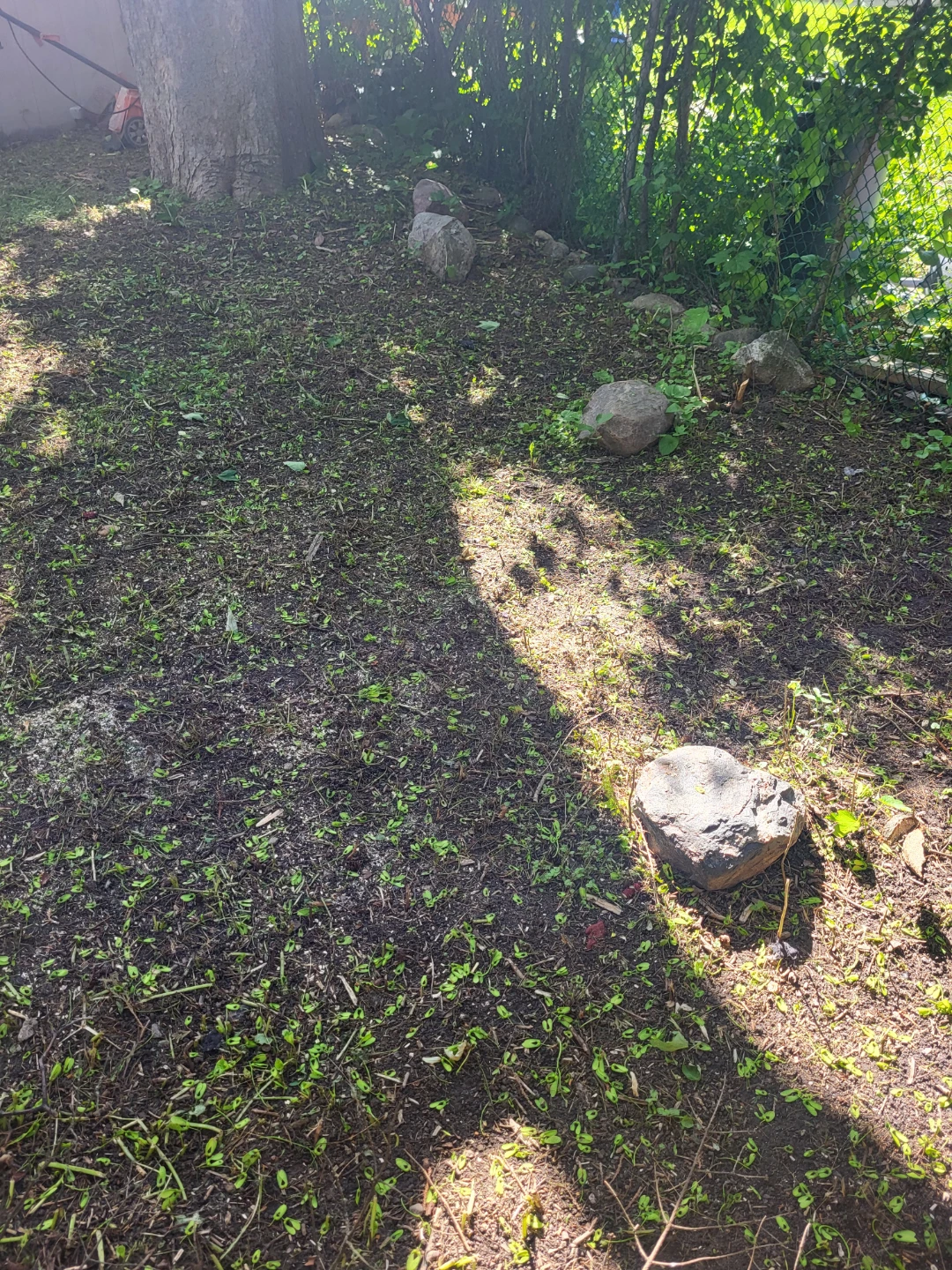 Assorted Garden Rocks - photo 2