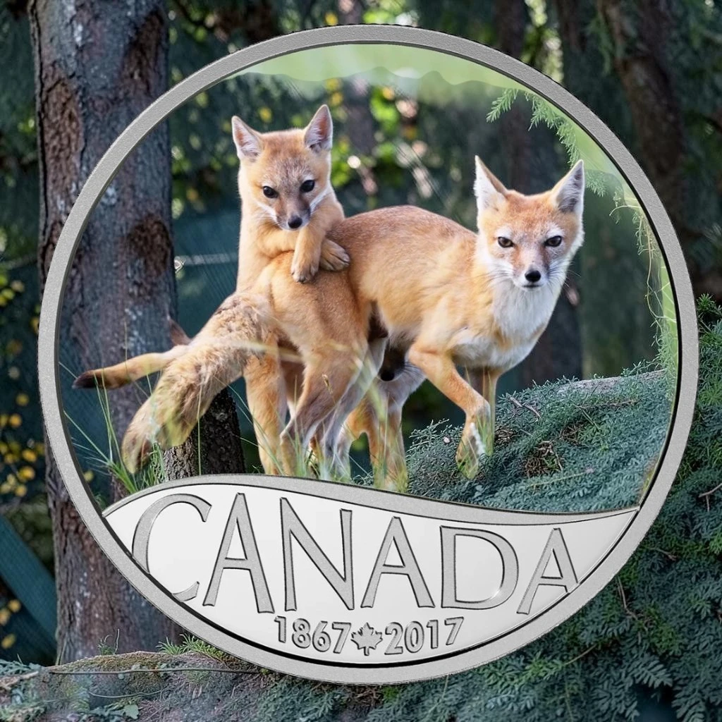 2017 Royal Canadian Mint $10 Fine Silver Coin
