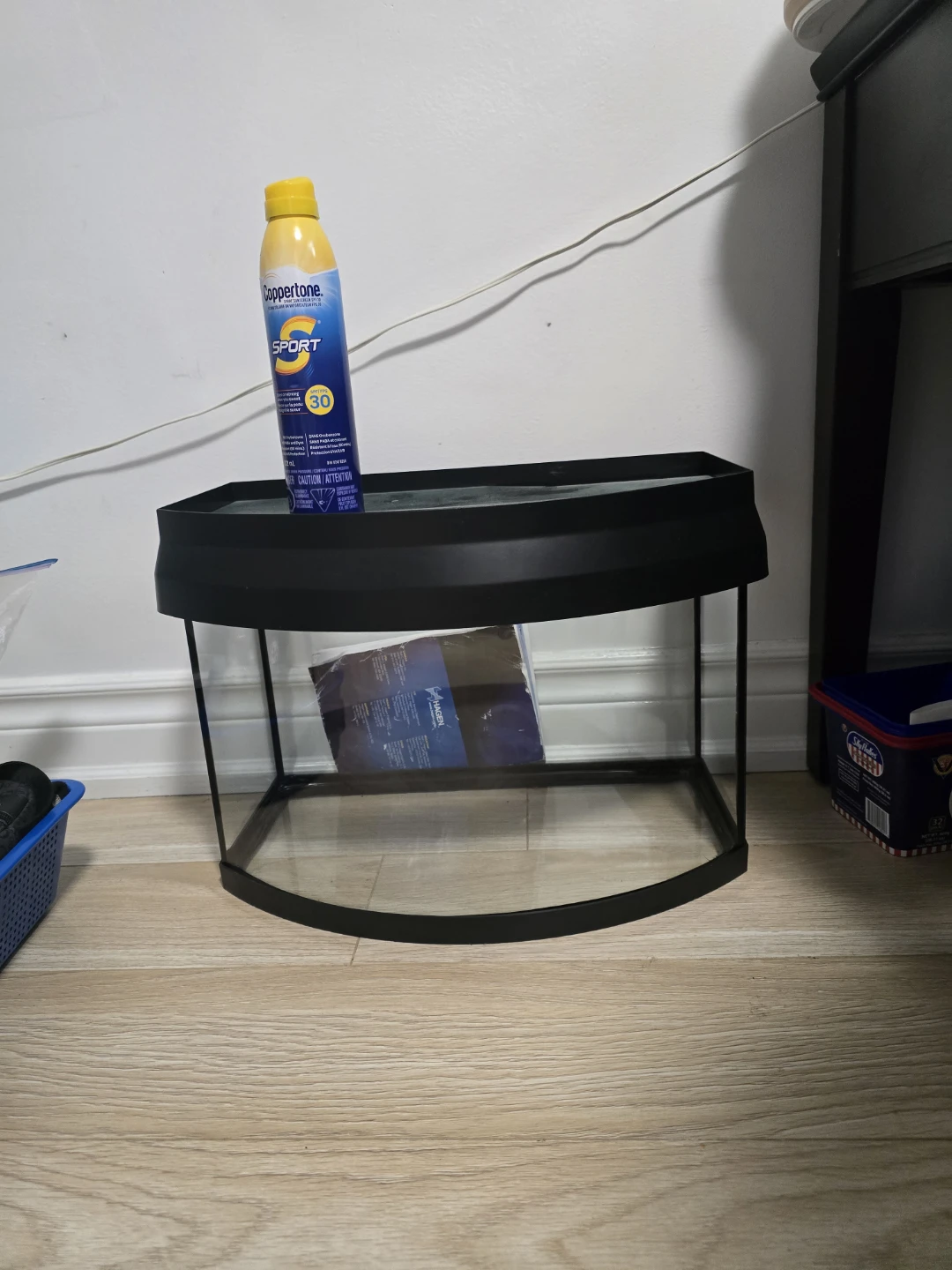Bow Front Aquarium Tank