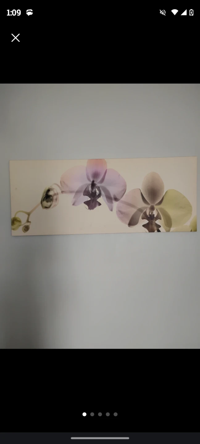 Orchid Print Wall Art