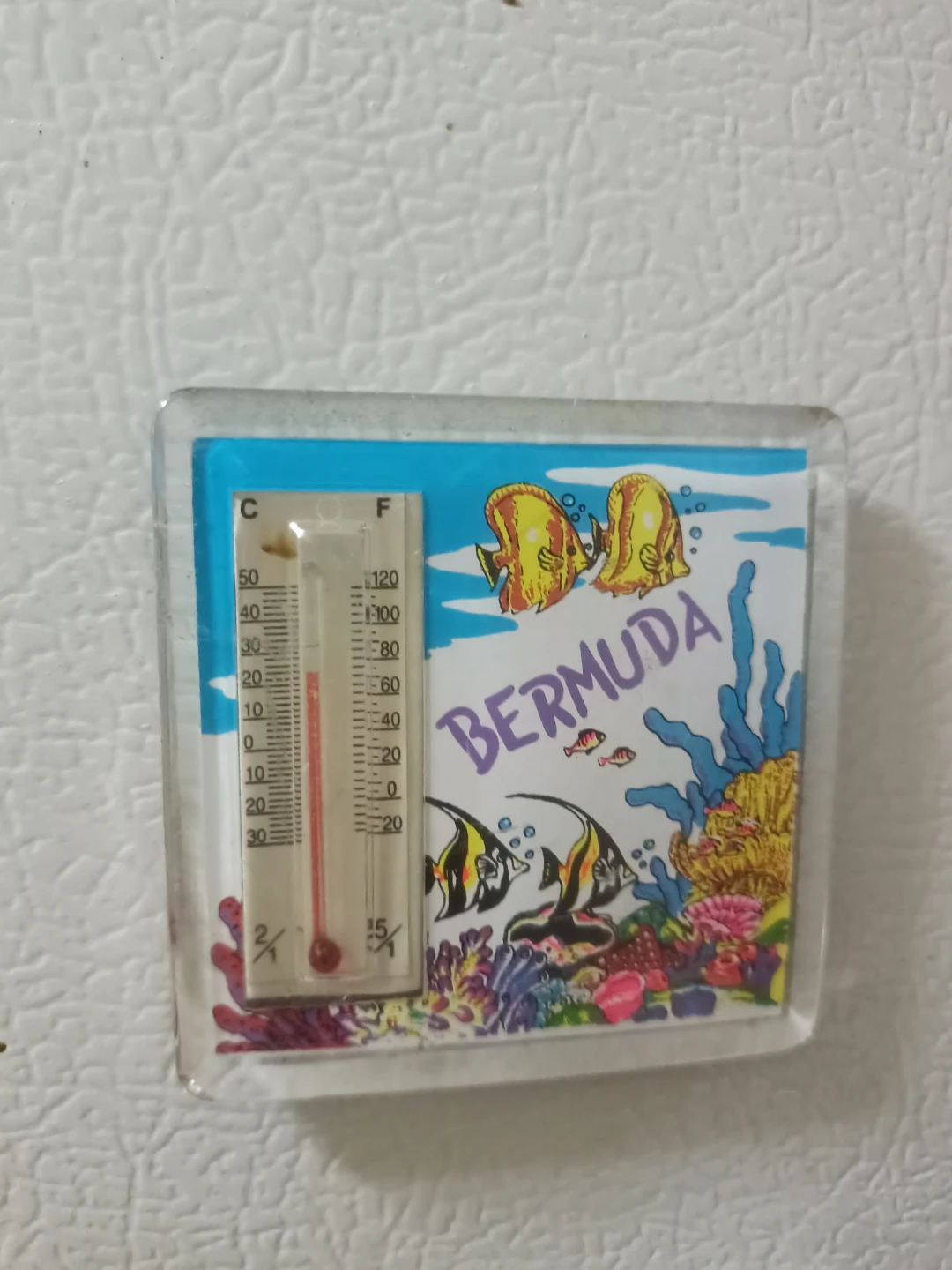Bermuda Souvenir Thermometer🏈