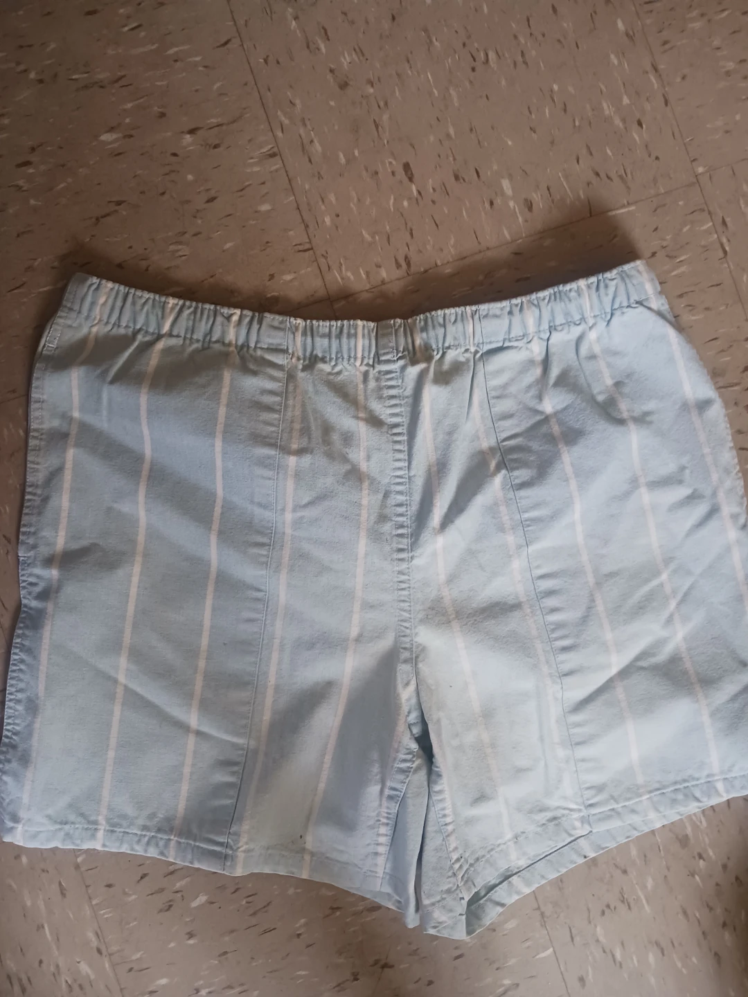 🏈 Light Blue Striped Casual Shorts - photo 3