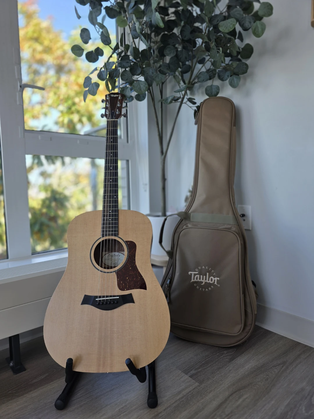 Taylor Big Baby Taylor (BBT) Acoustic Guitar + Original Gig Bag