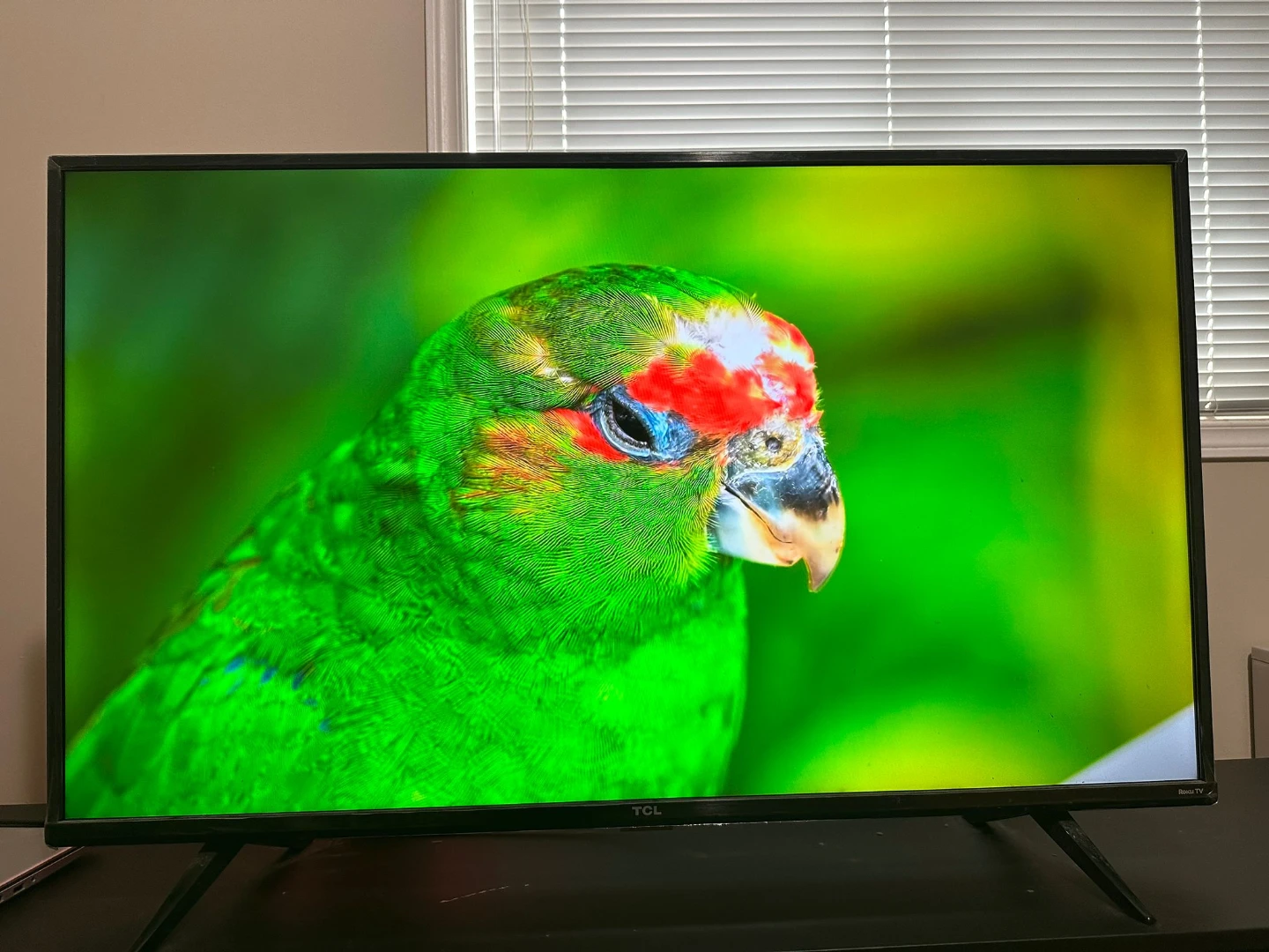 TCL 43" 4K Roku TV – 43S431-CA - photo 3