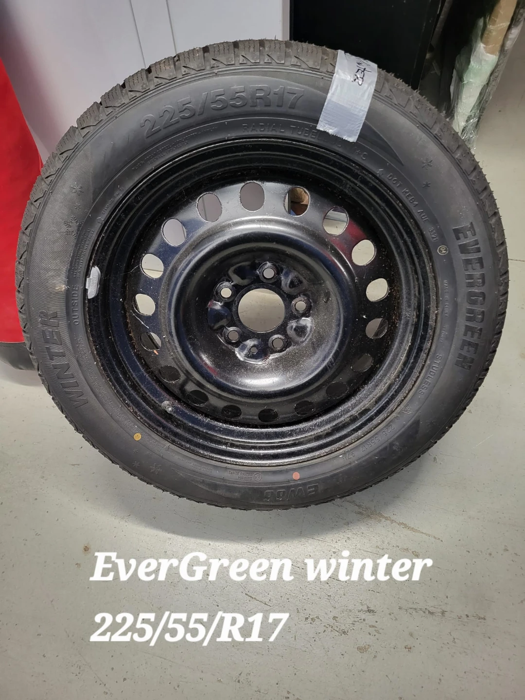 Evergreen Winter Tire 225/55R17 on Steel Rim