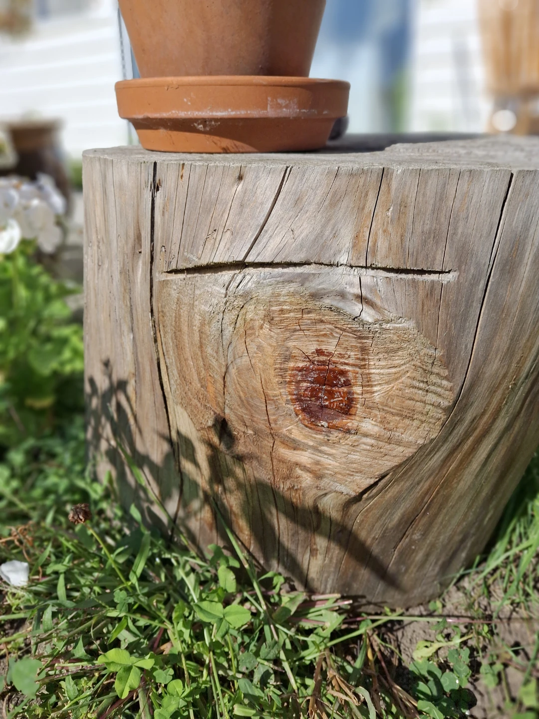 Natural Wood Log Side Table - photo 3