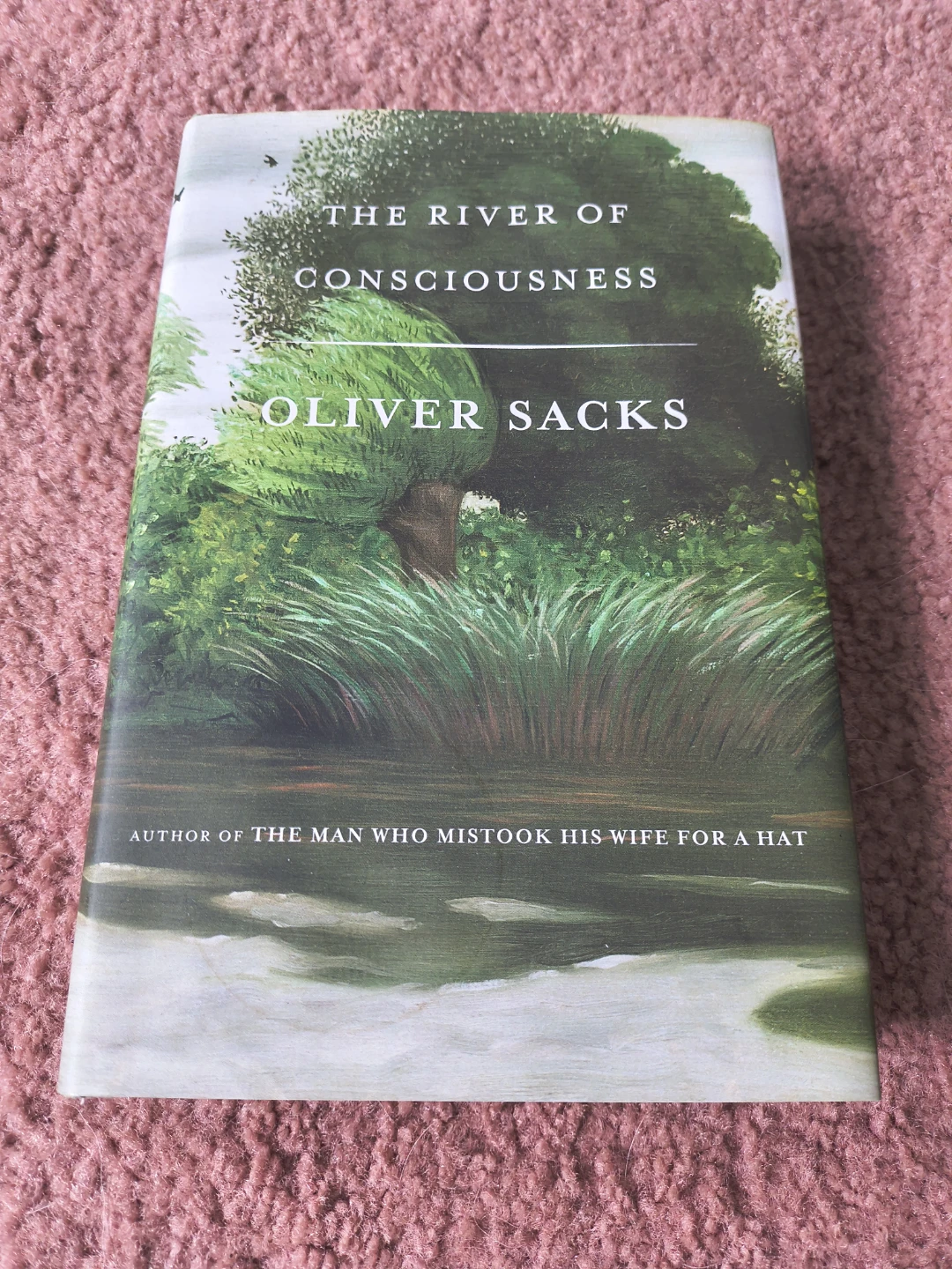 The River of Consciousness by Oliver Sacks🏈