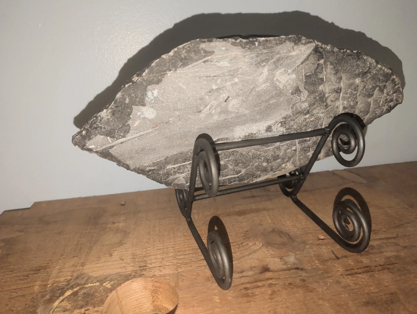 Orthoceras Fossil Display Piece - photo 2