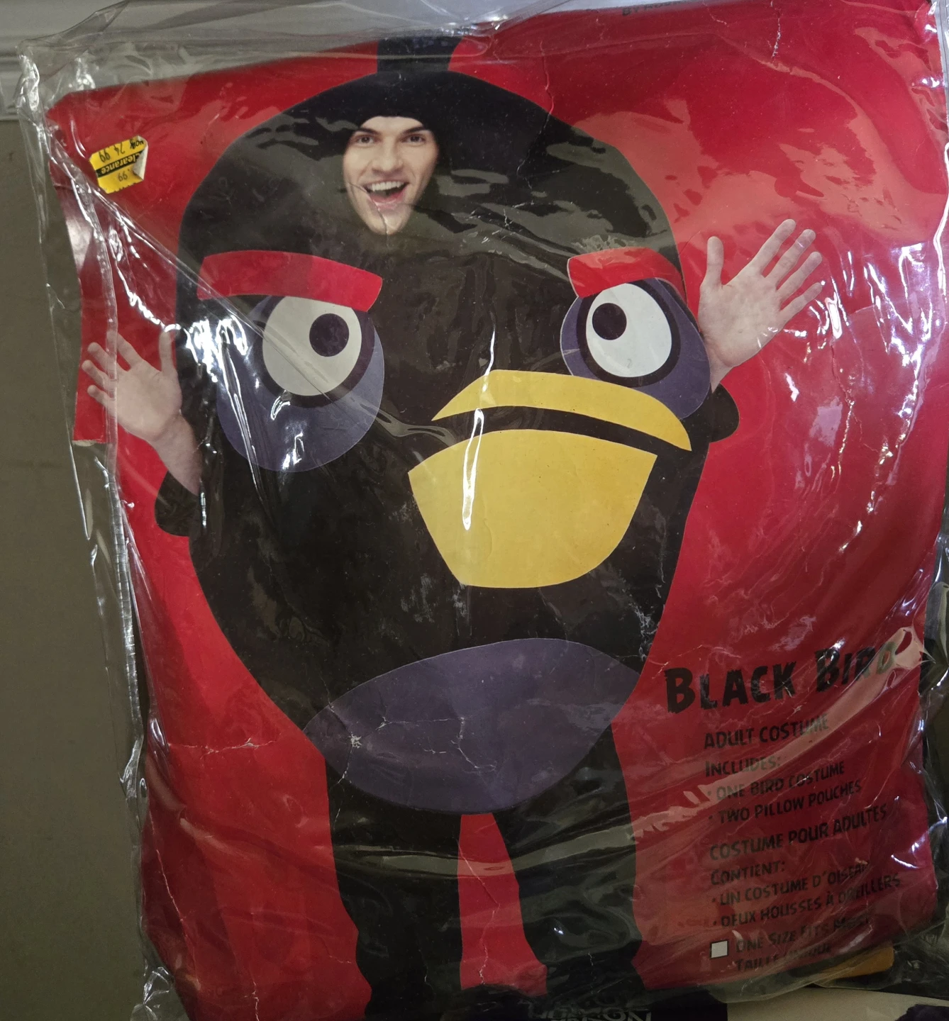 Black Bird Adult Costume