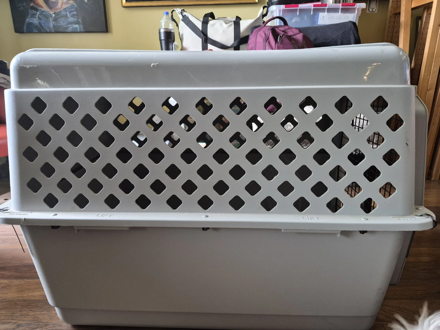 Classic karge dog kennel - photo 3