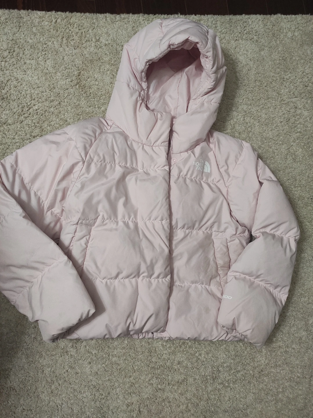 The North Face Girls Puffer Jacket, Size 10