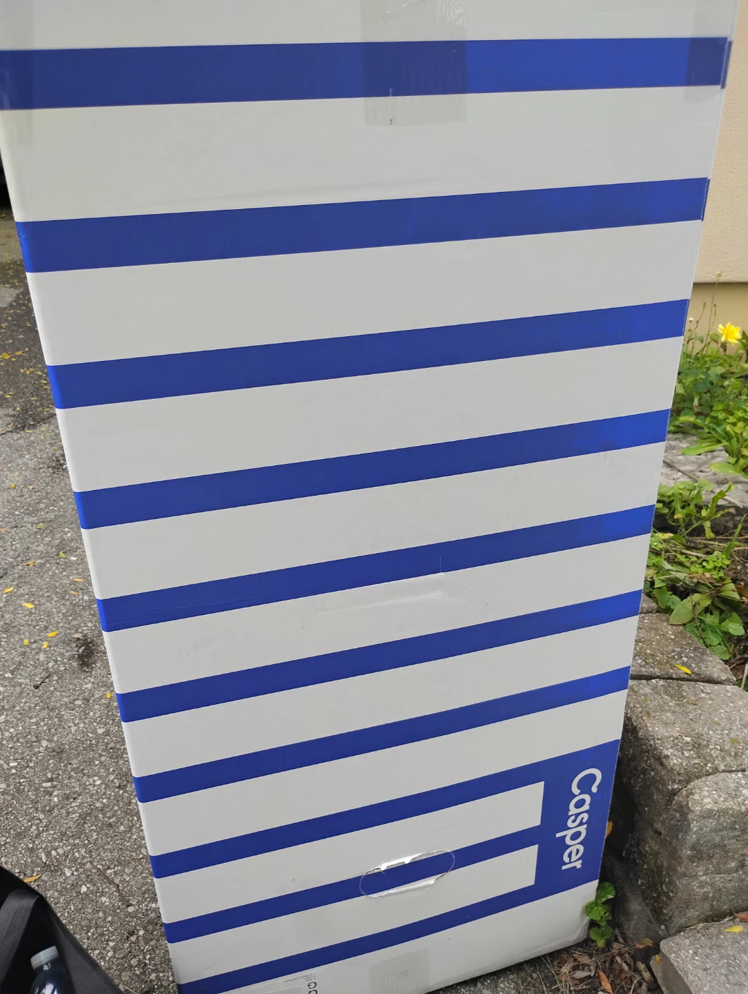 Casper Snow Plush Hybrid Queen Mattress