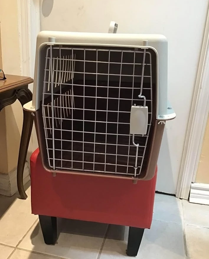 PET CARRIER DOG/CAT