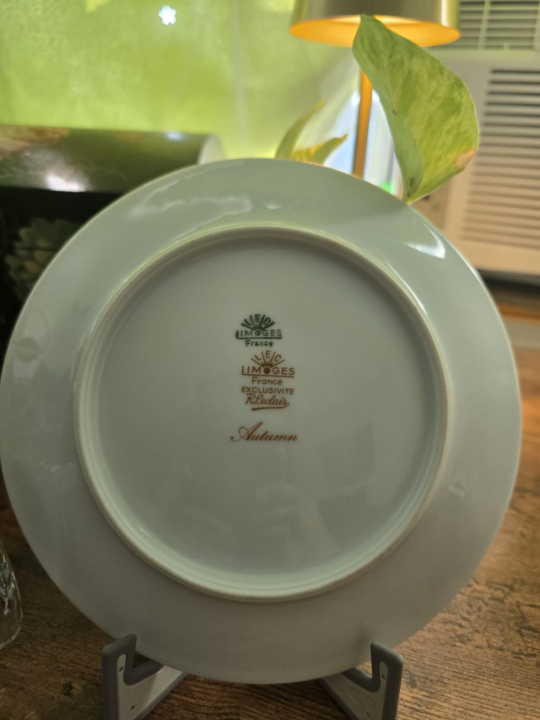 Vintage Limoges France Porcelain Collector Plate – "Autumn" Duck - photo 2