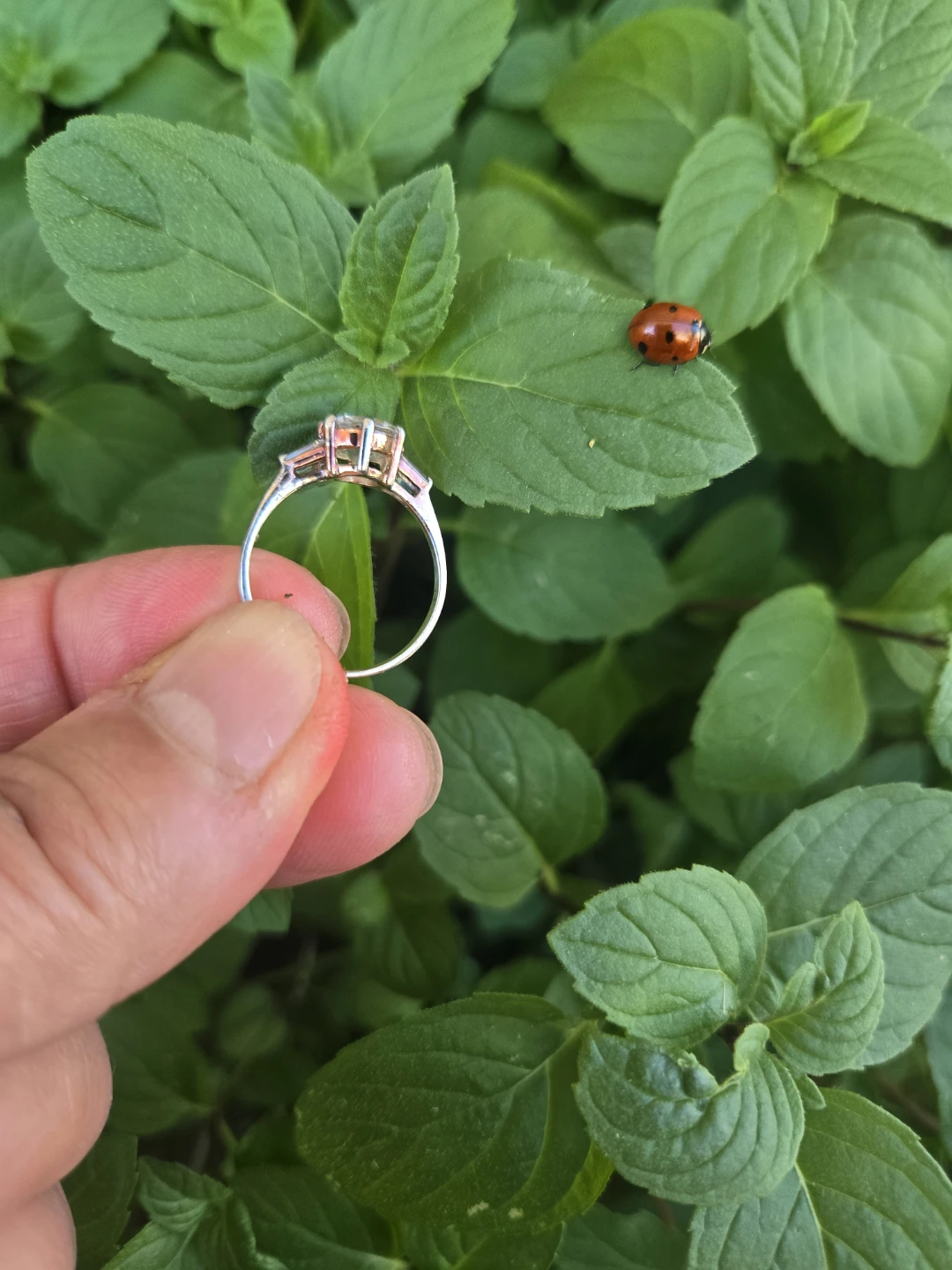 925 Sterling Silver Three Stone Ring - photo 2