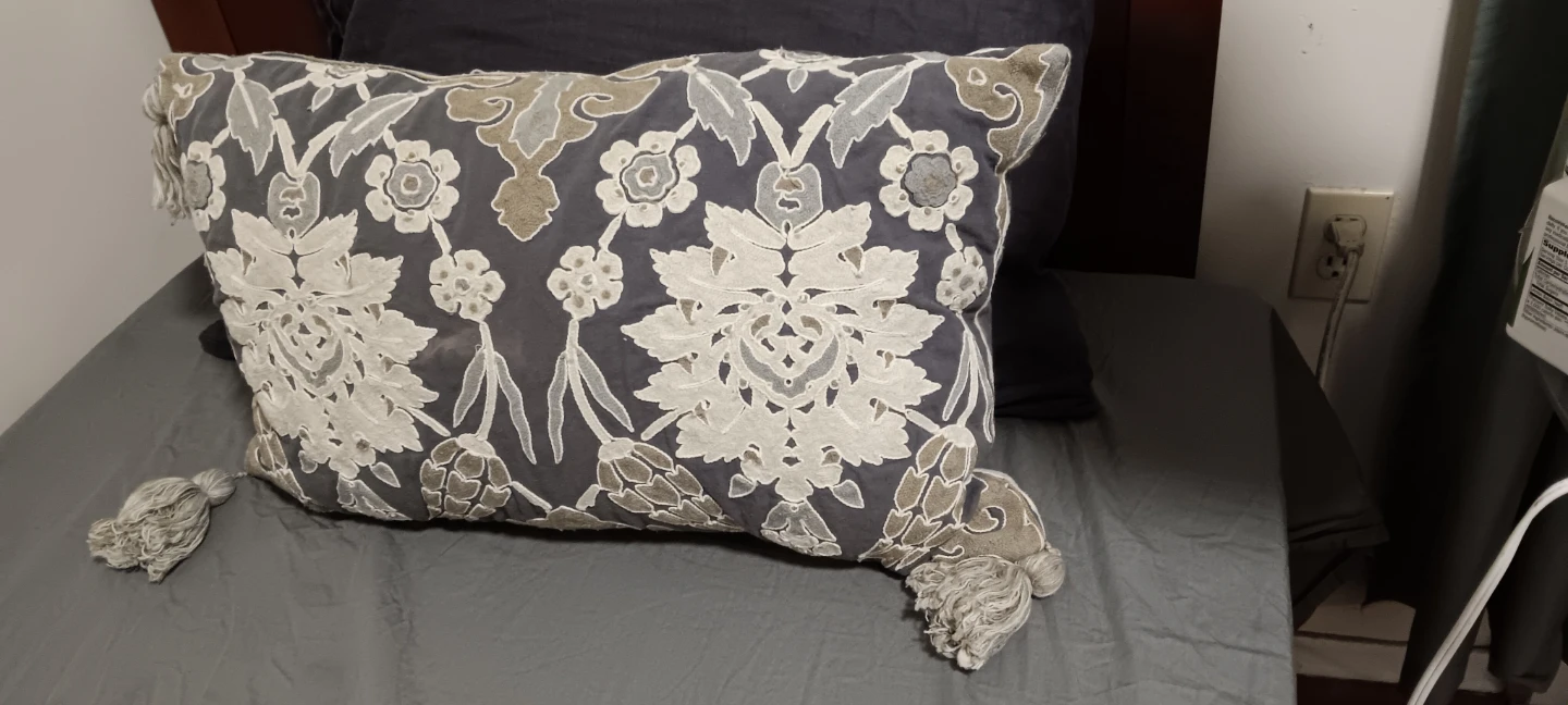 Embroidered Decorative Tassel Cushion