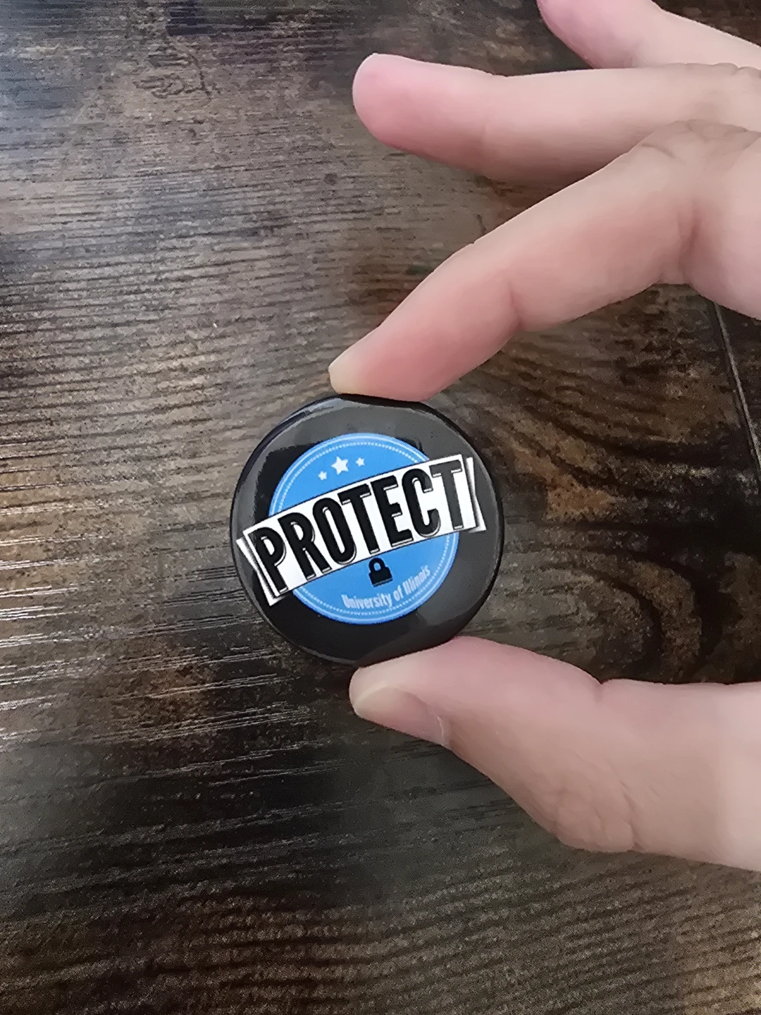 🏈University of Illinois PROTECT Pin - photo 2