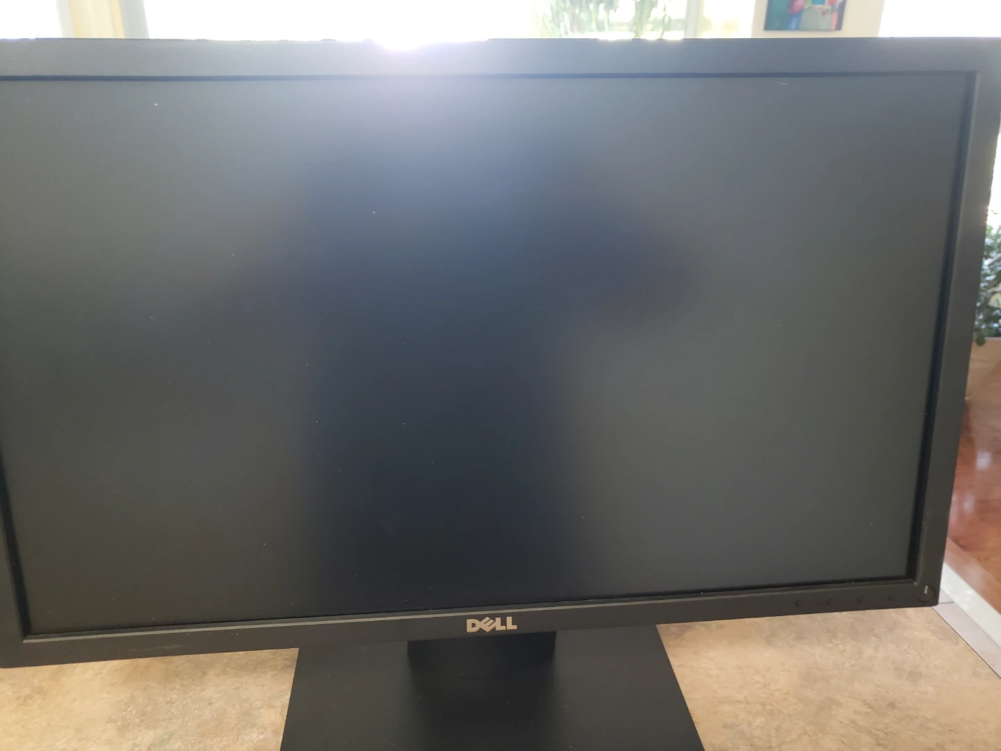 Dell Computer Monitor