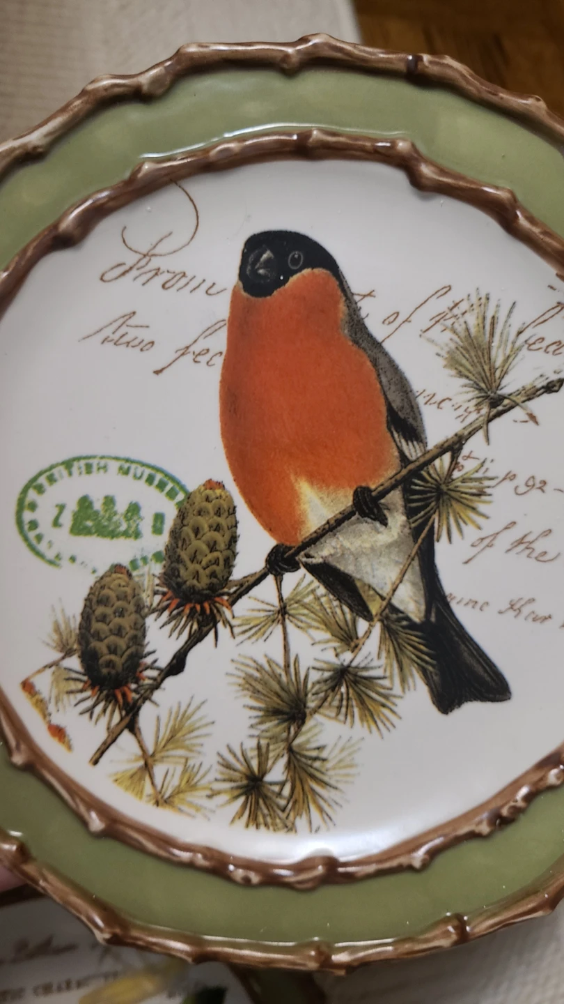 Set of 2 Vintage Bird Decorative Plates - photo 3
