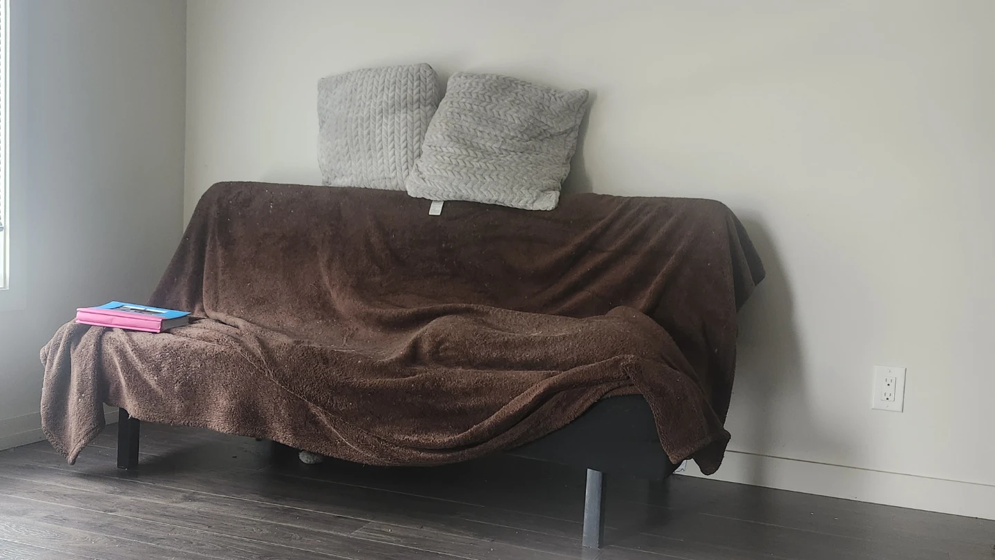 Brown Couch with Two Pillows